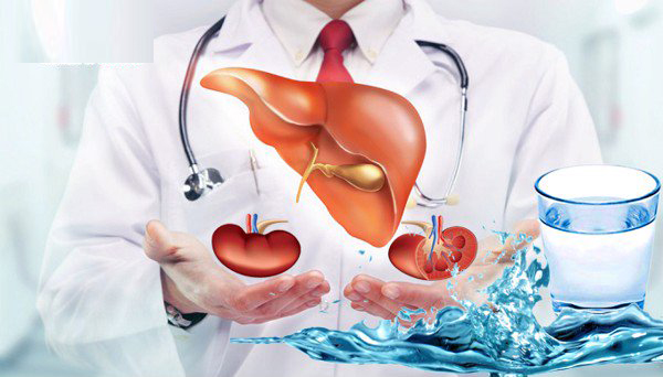 Hội chứng gan thận - Hình ảnh minh họa